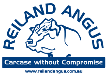 Reiland Angus - Chrome partner