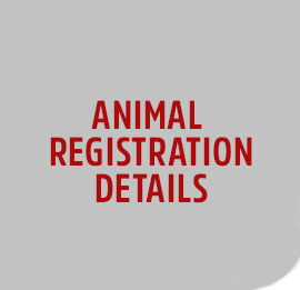 Animal-Reg-Details image