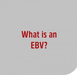 What is an EBV? Image