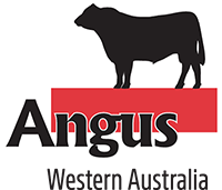 Angus Western Australia - Chrome partner
