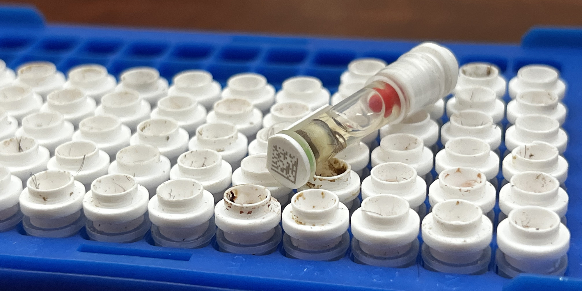 Tissue Sampling Units Angus Australia