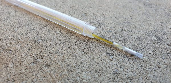 Transporting Semen Straws - Angus Australia