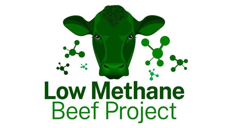 Low Methane Beef Program (LMB) Angus Australia