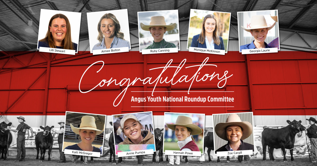 The new Roundup Committee is looking forward to 2024 Angus Australia