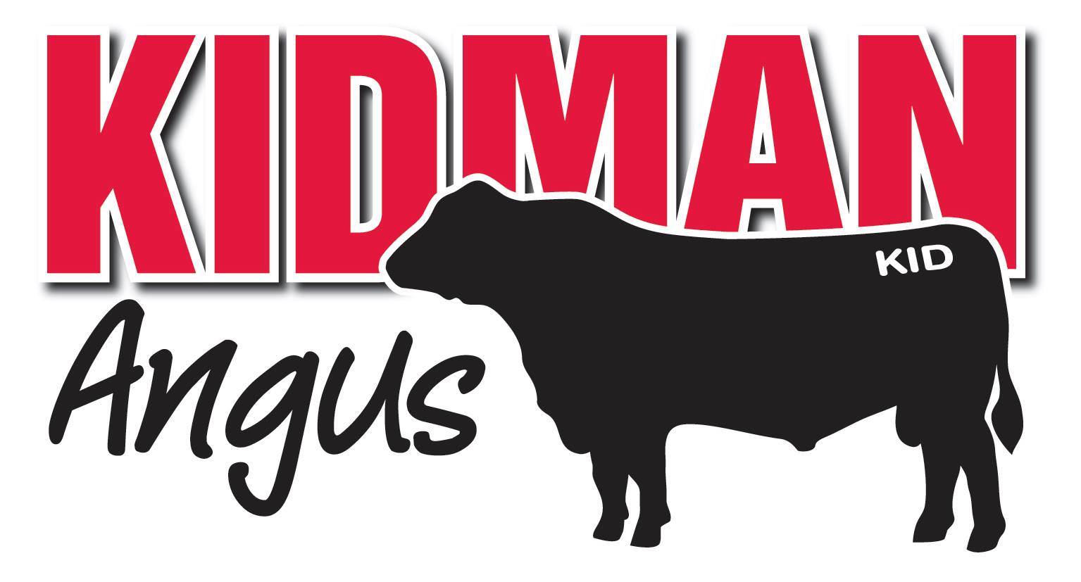 Kidman Angus 2023 Bull Sale Angus Australia