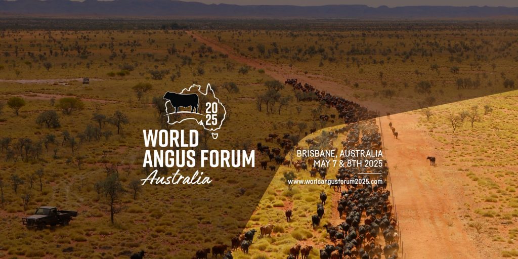 2025 World Angus ForumBanner