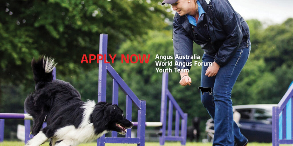 World Angus Forum Youth TeamBanner