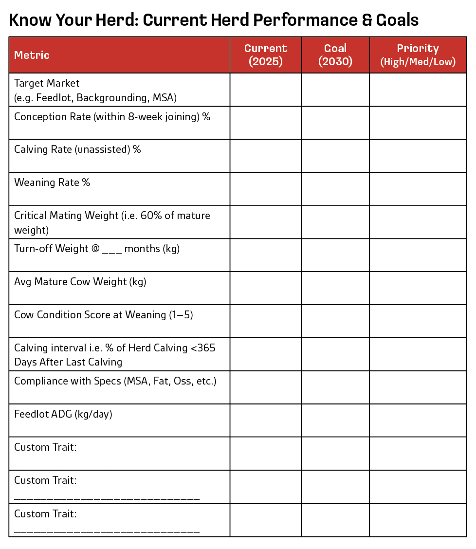 Bull Selection: Your Roadmap to Herd Improvement - Angus Australia